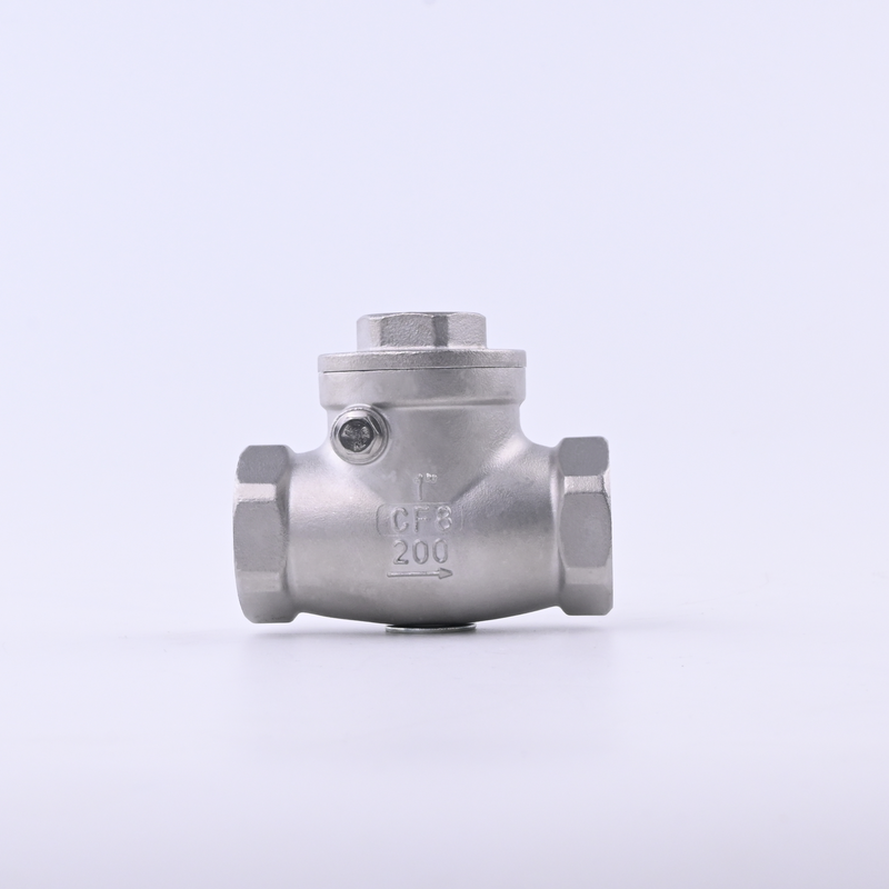 Factory Production 304 Stainless Steel Check