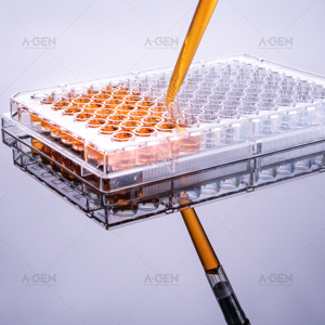 Microplate ELISA transparente à fond en V à 96 puits, stérile ou non stérile, pour liaison moyenne à élevée, avec couvercle, consommables de laboratoire pour la recherche - Product Image 3