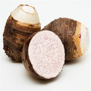 GMP標準食品グレード可溶性太郎粉末真空パックドラム植物エキス - Product Image 6