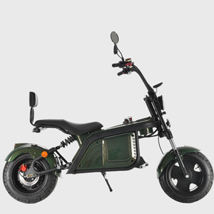 <span class=keywords><strong>Moto</strong></span> électrique sans balais, modèle de marque chinoise, pour Motocross - Product Image 3