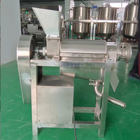 Industriële Gembersap Extractie Tomaat Knijp Ananassap Maken Machine