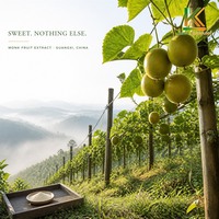 Extrait naturel de fruit du moine 60% Mogroside V Luo Han Guo, édulcorant en poudre, substitut du sucre pour boissons et aliments