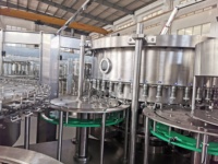 Machine à eau pure automatique efficace et facile à utiliser, haute productivité, ligne de production de boissons à engrenage pour animaux de compagnie étincelante