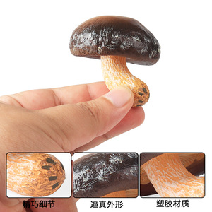 Modelos de simulación de hongos transfronterizos yxs, Pleurotus eryngii auténtico, Doble Abulón, Hongo de la cuerda venenoso, Morchella - Product Image 4
