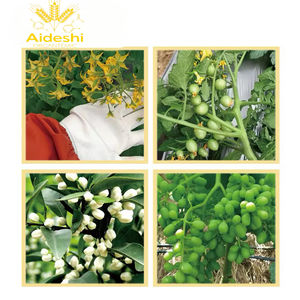 <span class=keywords><strong>ปุ๋ย</strong></span>อินทรีย์สำหรับดอกไม้และผลไม้โปรโมชั่นหน่อและการป้องกัน - Product Image 3