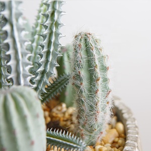 Cao Cấp Trang Trí Nội Thất, Nhân Tạo Cây Xương Rồng, Mọng Nước Bonsai - Product Image 5