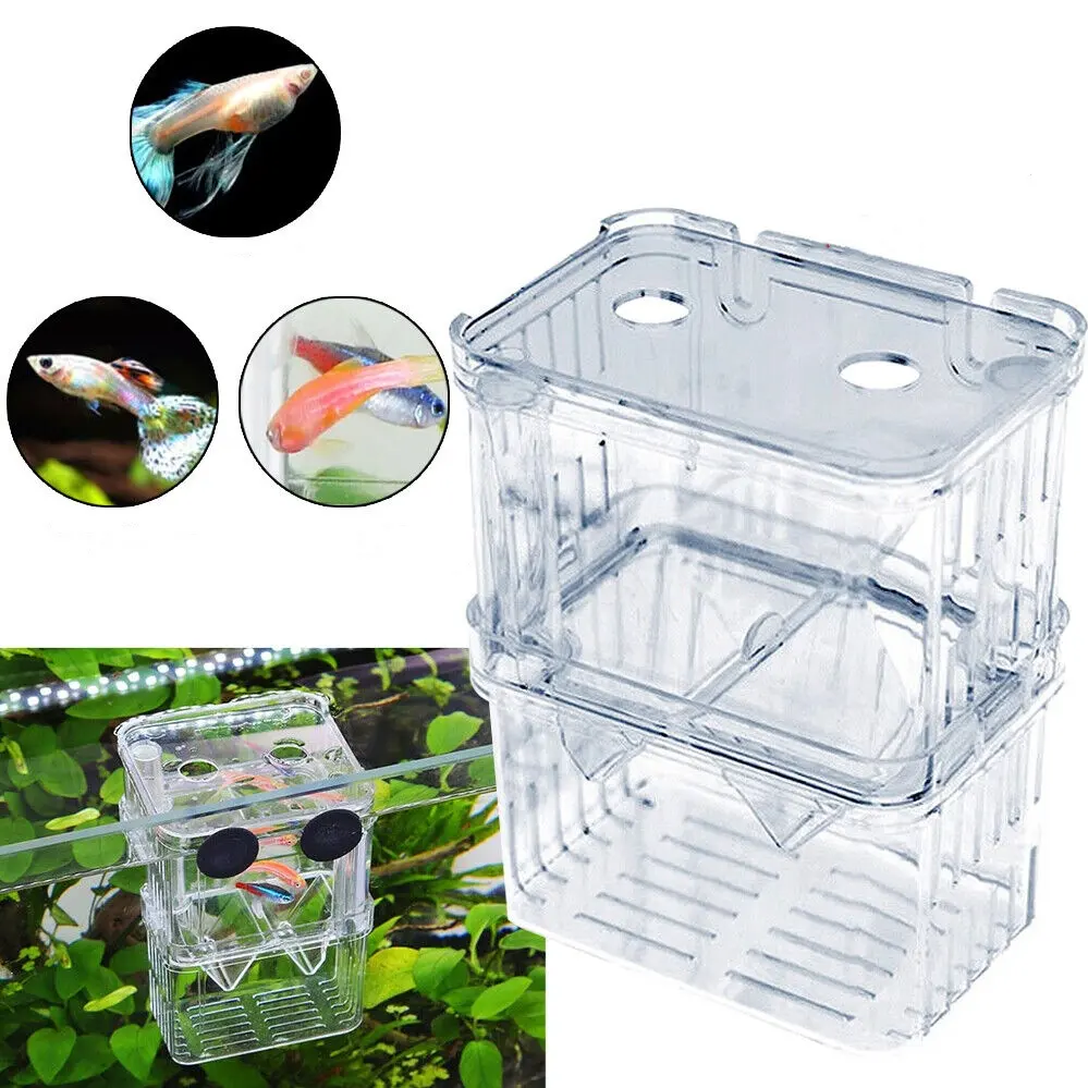 breeding box for fish tank Isolation / box Veda Aquarium The breeding boxes from Ziss Aqua have an elegant and clear exterior Aquarium Fish Breeding Box -