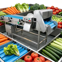 Groentesnijder, groentesnijmachine, groenteverwerkingsmachines
