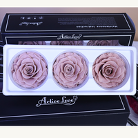 Rangkaian Bunga Mawar Awet Alami Yunnan 7-8cm 3 Tangkai untuk Dekorasi Pernikahan & Hari Valentine ACTIVE for Brand