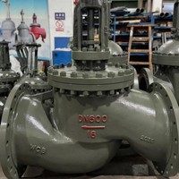 Válvula de Globo de Acero Inoxidable 316L de Alto Rendimiento para Control de Flujo de Precisión