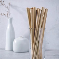 Pailles en bambou Xinfeng de haute qualité sans BPA, modèle Straw001, pour le camping et les jus – Lot de couverts quotidiens