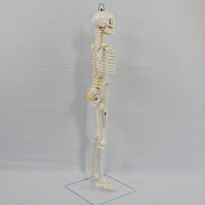 85 - Product Image 2