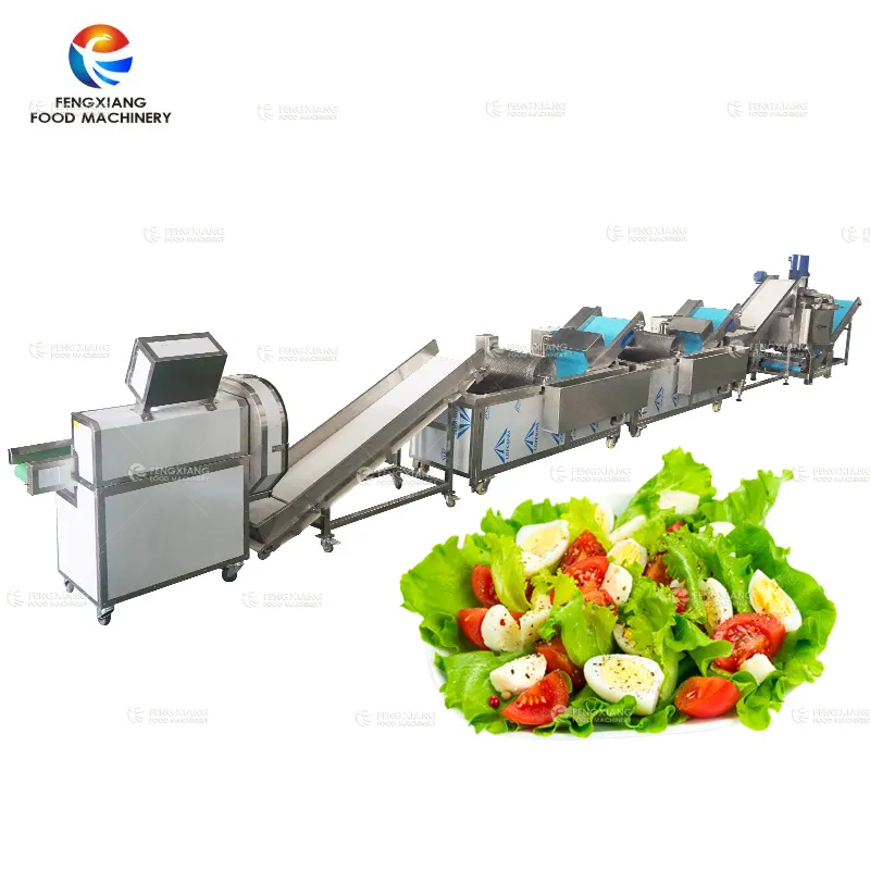 Vegetable Salad Production Line- Vegetable Cutting Washing Dewatering Processing Line