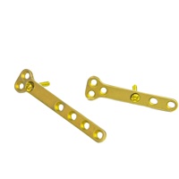 Système de plaques orthopédiques vétérinaires ALPS Mini découpables et verrouillables (Titane) Certifié CE 1,1 mm Classe III