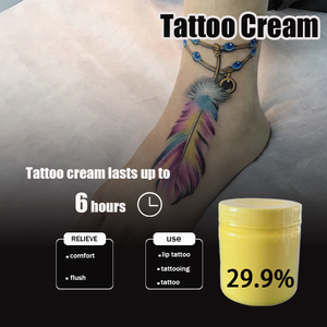 ซัพพลายเออร์อุปกรณ์สักคุณภาพดีที่สุด ครีมสัก 29.9% ผิวฝึกสักและแพ็คเกจสำหรับสตูดิโอเคลือบคิ้ว สีสักถาวร - Product Image 2