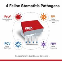 Kit de Detección PCR 4-Plex para Estomatitis Felina, Virus del Herpes Felino FeLV/FIV/FCV/FHV, Solo para Gatos, 4 Pruebas/Kit