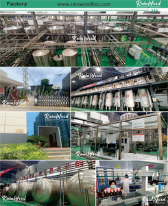 เรนวูด เอ็นเอซี (เอ็น-อะซีทิลซิสเทอีน) ผงเสริมอาหารเอ็นเอซี (NAC) - Product Image 4