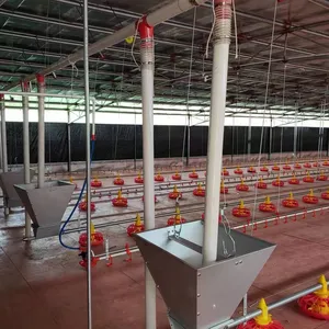 Automatic Waterline Feed Line for Poultry Farms