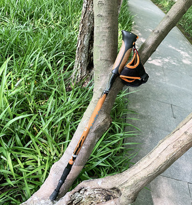 2 bölüm mantar kolu 3K karbon Fiber geri çekilebilir teleskopik yürüyüş Sticks <span class=keywords><strong>Nordic</strong></span> yürüyüş kutup - Product Image 2