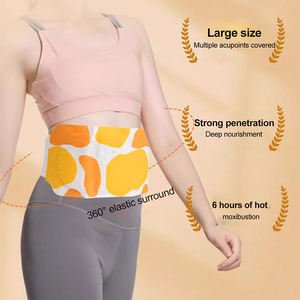 Best-seller Patch auto-chauffant aux herbes chinoises pour soulager la douleur des crampes menstruelles Patch pour hommes best-seller Médecine chinoise - Product Image 4