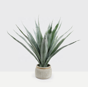 Decorativa árbol <span class=keywords><strong>falso</strong></span> <span class=keywords><strong>Agave</strong></span> venta al por mayor de la fábrica al aire libre árbol 70cm - Product Image 1
