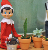 Petits pots en terre cuite de 1,7 pouces, pots en céramique, pots à fleurs, pots de pépinière, pots en terre cuite pour cactus