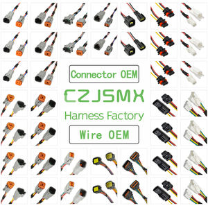 CZJSMX RoHS準拠Molex HSAutoLinkワイヤーハーネス24V 16AWG耐衝撃性PVC断熱材カスタムメイド - Product Image 2