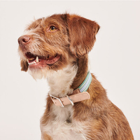 Collier de chien imprimé personnalisé Fullto durable et de haute qualité avec boucle à dégagement rapide
