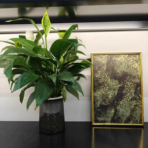 Hermosa y duradera cabina de ascensor de acero inoxidable 304 Personalización de cabina de acero inoxidable de gama alta - Product Image 1