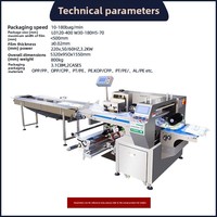 Rongjun Entièrement Automatique PLC Machine De Codage De Pulvérisation D'alcool Équipement Personnalisable pour Emballage Alimentaire Cartons En Plastique Oreiller Sacs