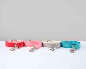 Collier pour chien en daim bleu sarcelle brodé avec nom et coordonnées personnalisés, laisse multicolore réglable - Product Image 5