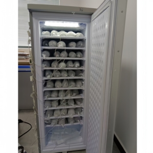 24v Solar <b>Ice</b> Block Machine 11layers Commercial Gel Battery 60kg Per 24 Hours 200l <b>Maker</b> for Nigeria Bd-210 7lays Commercial - Product Image 1
