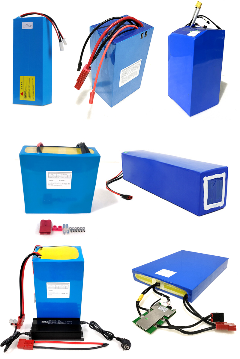 Lithium Ion Battery Pack OEM 12V 24V 36V 48V 60V LiFePO4 Battery For Electric Scoot