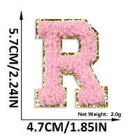 Patch brodé en tissu avec lettres anglaises, autocollant rose, fil de broderie chinois, pour vêtements et chapeaux