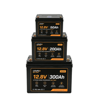 Batterie rechargeable LiFePo4 Lithium-Ion 12,8V 100Ah 150Ah 200Ah 300Ah avec BMS intégré pour maison/voiture/camping-car/VR - Offre Spéciale