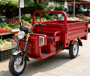 Triciclo Eléctrico <span class=keywords><strong>Wolverine</strong></span> de Carga con Certificación DOT, Precio de Fábrica, 400 kg de Carga Útil y 70 km/h de Velocidad, Tanzania del Sur - Product Image 4