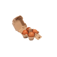 Vente en gros de papier recyclé biodégradable avec carton d'œuf de poule jetable écologique Lot de 4 plateaux à œufs en pâte à papier