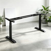 Estructura de Escritorio Ergonómica Premium con Doble Motor y Altura Ajustable, 3 Etapas de Elevación, Bloqueo de Posición de Memoria en las Patas