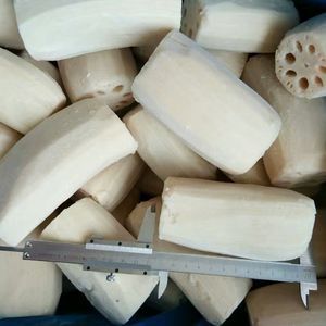 Замороженный корень лотоса IQF оптом: нарезанный ломтиками, кусочками, кубиками, целыми частями – натуральный, полезный продукт – оптовая продажа - Product Image 4