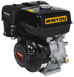 אופנוע מלא מנוע Winy173f/wy173f/wy173Fe