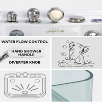 Baignoire Spa pour Animaux de Compagnie DPbathe, Petite Taille, Porte Ouverte, en Acrylique, Hydrothérapie, Bain d'Ozone et Lait pour Salons de Toilettage et Soins à Domicile des Animaux
