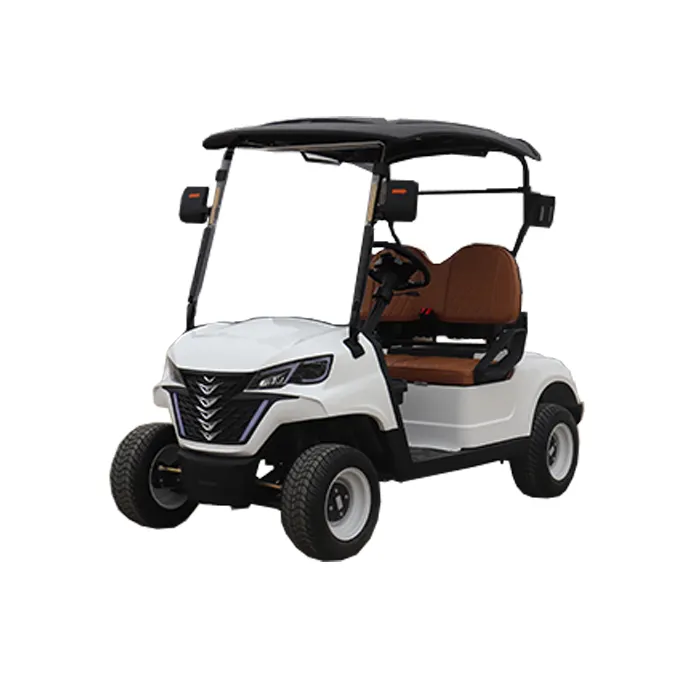 KEYU yüksek kalite 2 kişi elektrik Golf arabası sonsuz değişken hız sistemi 8-10 saat şarj Golf arabası