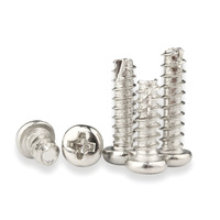 Vis à tarauder à tête ronde à empreinte cruciforme métrique en acier au carbone, à pointe tranchante, nickelée, grade 2