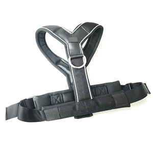 สลิปบุนวมนุ่มน้ำหนักเบามาใหม่บนสายรัดสุนัข - Product Image 2