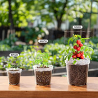 Pots de pépinière transparents 3/4/5 pouces, durables, légers, style simple, pots en plastique pour semis avec trous de drainage pour le démarrage des graines