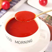 Sauce tomate Gansu Jiuquan, spécialité, 260 ml, 1 boîte, sauce pour hamburgers, frites, pâtes, crêpes faites maison, sauce à cuire