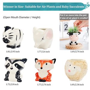 Cartone animato a forma di piccolo succulento vaso di pianta d'aria titolare Mini animale fioriera foro di drenaggio Airplants Tillandsia titolare per Mini pianta - Product Image 6