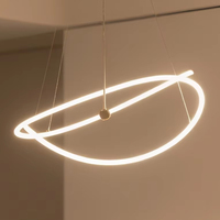 Éclairage à 360 degrés IP67 adressable Neon Flex Rope Light 24V 18mm 1800K-6500K Digital Pliable LED pour plafond Home Decor Light