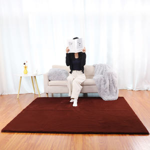 Moderne Anti-Slip Custom Logo Hoge Kwaliteit 100% Polyester Faux Konijnenbont Tapijten En Tapijten Voor Woonkamer Slaapkamer Bank En Huis - Product Image 5
