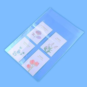 Sacs en plastique transparents refermables auto-adhésifs autocollants de taille de vêtements imprimés en flexo pour vêtements chaussures chaussettes gâteaux de fourrure en HDPE - Product Image 4